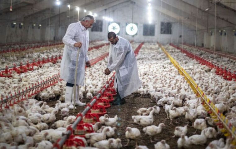 Brazil hopes to resume shipments to China in less than 60 days, Fávaro explained