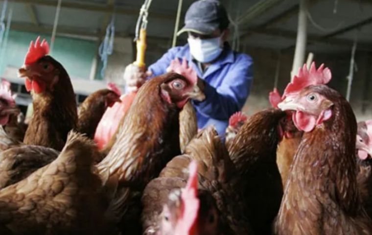 The Senacsa adopted this measure while awaiting clearance to start beef exports to the Philippines
