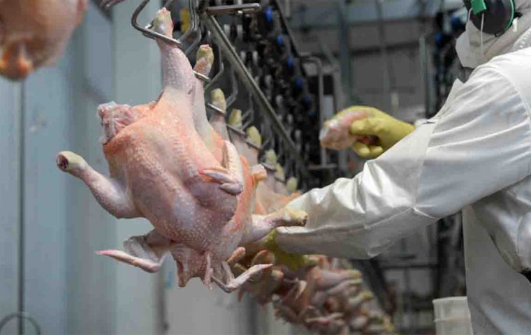 “It is temporary, until the reality of the problem in Brazil is known,” explained Virginia Russi from the Uruguayan Agriculture and Livestock Ministry 