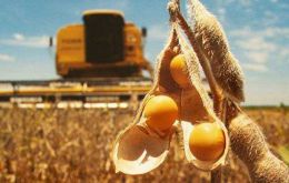 Conab believes a record soybean harvest and strong Chinese demand are expected to drive growth of the country’s soybean and by-product exports in the 2024/25 season