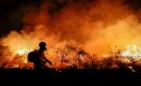 A changing climate can hinder forests' natural recovery from fires