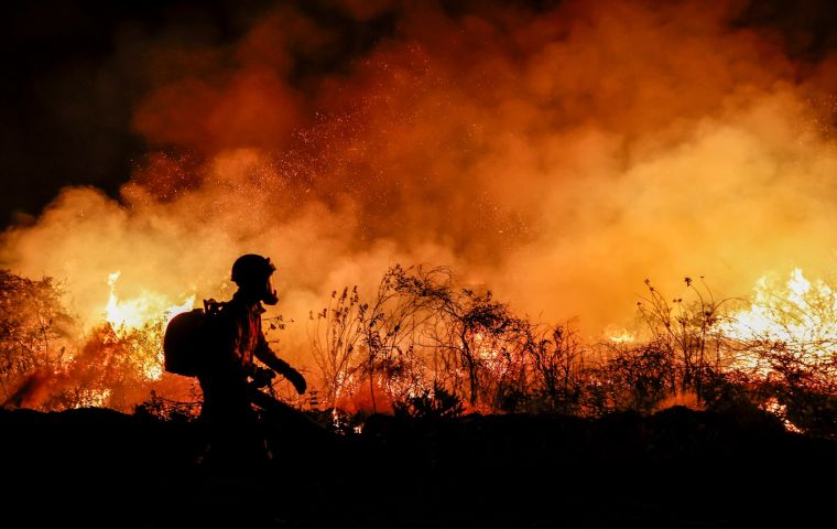 A changing climate can hinder forests' natural recovery from fires