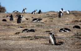 The defense's proposal of land ownership handover was turned down