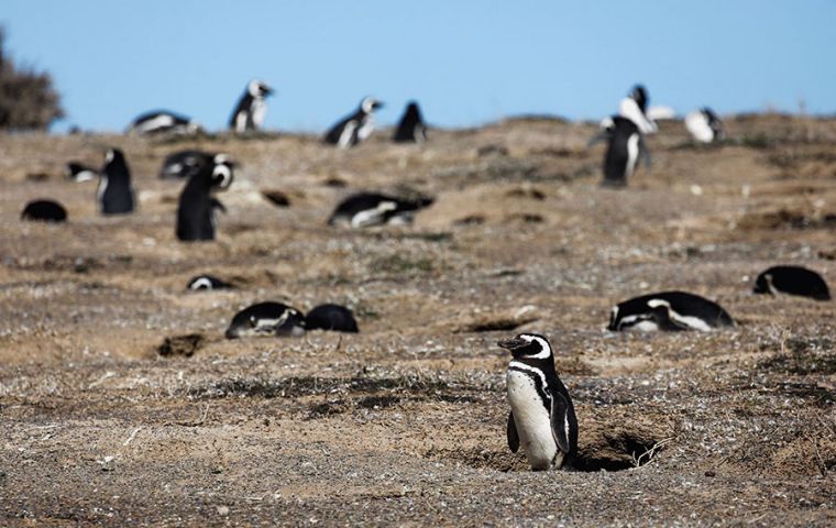 The defense's proposal of land ownership handover was turned down
