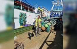 Dogs sniffing cargoes on vessels in the Falklands
