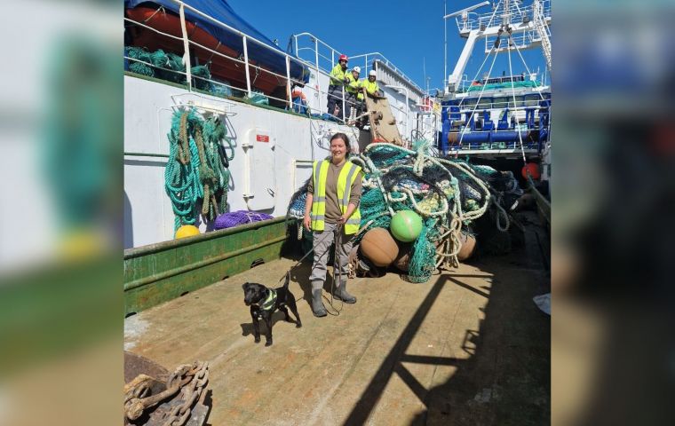 Dogs sniffing cargoes on vessels in the Falklands