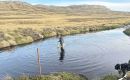 The Freshwater Project involves Dr Alastair Baylis and Dr Nyein Thandar Ko who visited the Moody Brook River to download data from water loggers installed in 2022 