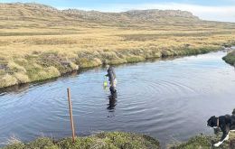 The Freshwater Project involves Dr Alastair Baylis and Dr Nyein Thandar Ko who visited the Moody Brook River to download data from water loggers installed in 2022 