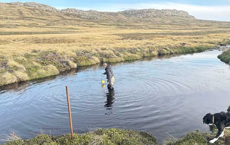 The Freshwater Project involves Dr Alastair Baylis and Dr Nyein Thandar Ko who visited the Moody Brook River to download data from water loggers installed in 2022 