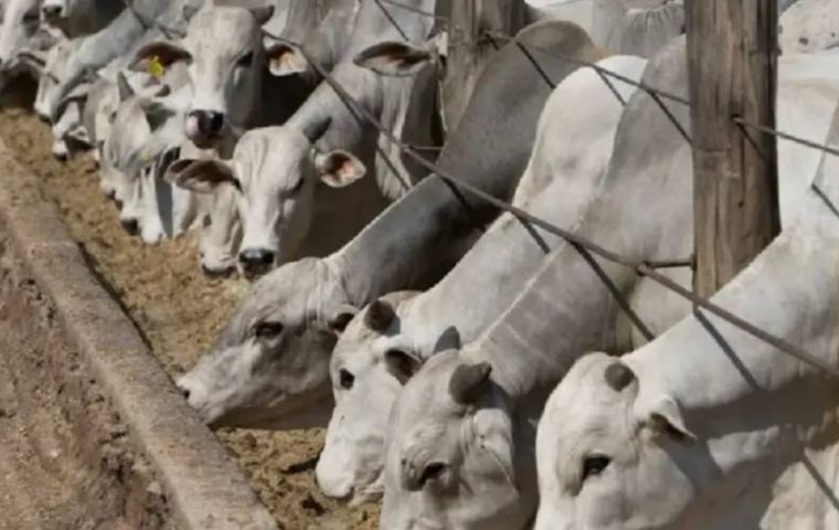 The new status poses new challenges for Bolivian beef
