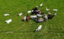 Parliamentary Front for Agriculture and Livestock (FPA) Vice-President Senator Tereza Cristina attended the World Organization for Animal Health event in Paris