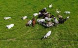 Parliamentary Front for Agriculture and Livestock (FPA) Vice-President Senator Tereza Cristina attended the World Organization for Animal Health event in Paris