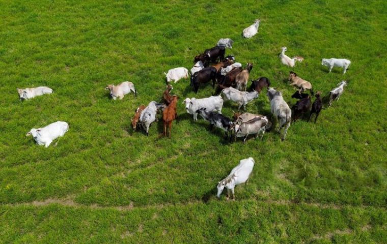 Parliamentary Front for Agriculture and Livestock (FPA) Vice-President Senator Tereza Cristina attended the World Organization for Animal Health event in Paris