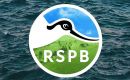The Royal Society for the Protection of Birds, RSPB, claims the commitment has now been suspended and the UK spending review in June will determine if it continues.