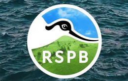 The Royal Society for the Protection of Birds, RSPB, claims the commitment has now been suspended and the UK spending review in June will determine if it continues.