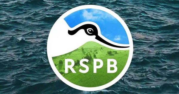 British Family concern with Darwin Plus suspension and possible axing of vital conservation funds