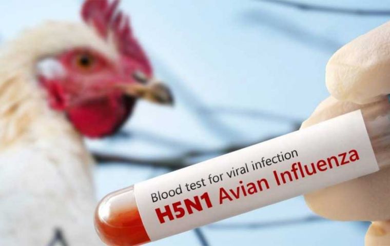 The only case detected so far in the region was the one reported in mid-May in the Brazilian State of Rio Grande do Sul