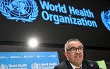 The subtype poses no additional threat, but the WHO urged governments to remain vigilant