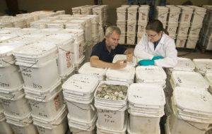Odyssey co-founder Greg Stemm, left, examines coins recovered from the “Black Swan” shipwreck