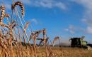 Brazil accounted for 99% of Paraguay's wheat shipments