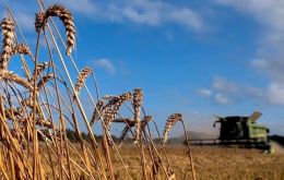 Brazil accounted for 99% of Paraguay's wheat shipments