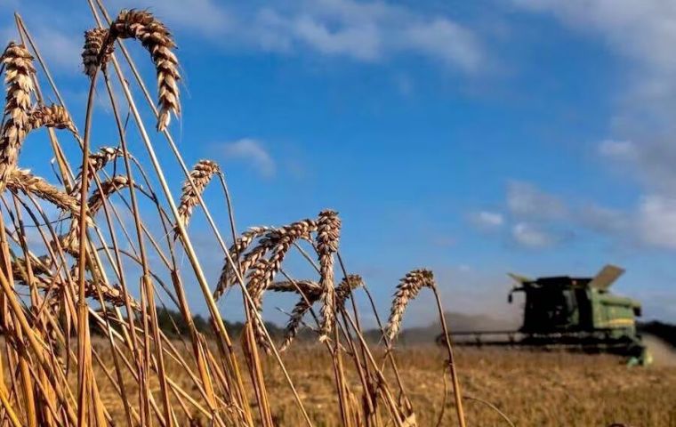 Brazil accounted for 99% of Paraguay's wheat shipments