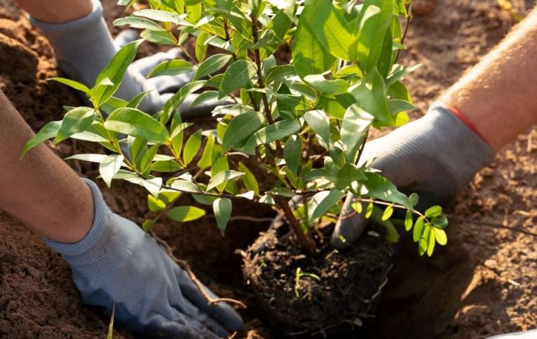 The initiative was established by the United Nations in 1972 