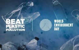It is estimated that each person on the planet consumes more than 50,000 plastic particles per year –and many more if inhalation is considered
