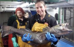 Sue Gregory holds s Patagonian toothfish (Photo: Martin Collins)