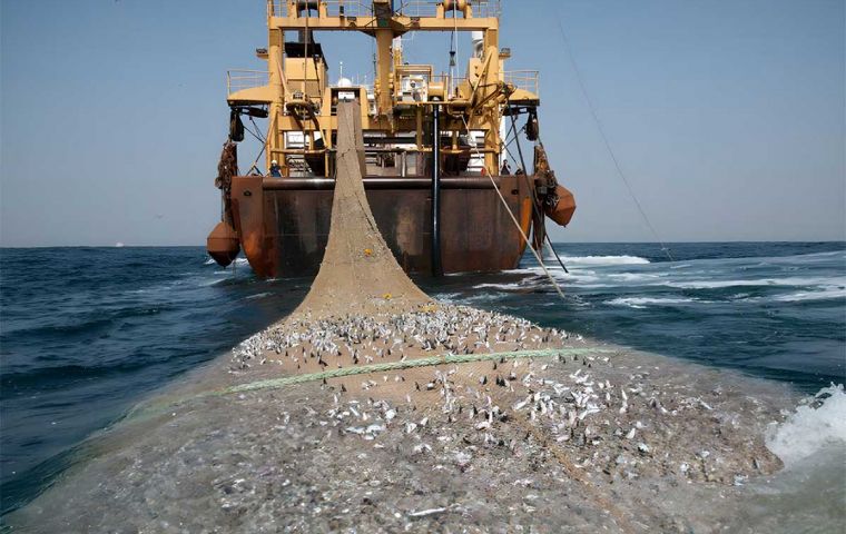 A consultation will invite marine and fisheries stakeholders to share their views and evidence on the prohibition of destructive bottom-towed fishing gear (Pic Greenpeace)