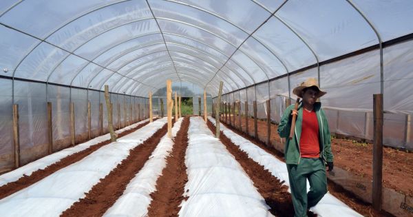 French companies interested in relocating production to Paraguay