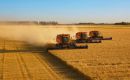  With cereal production expected to exceed utilization, world cereal stocks are predicted to expand by 1.0 percent in 2025/26 to 873.6 million tons