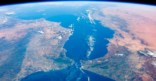 Spanish researchers speak of Gibraltar's “tropicalization”