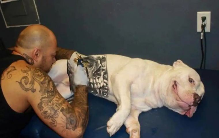 The penalties also apply to tattoo parlors carrying out these practices