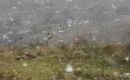 Other snowfalls were reported in the Argentine province of Buenos Aires, but none in densely populated areas