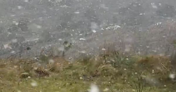 Rare snowfall recorded in parts of Uruguay