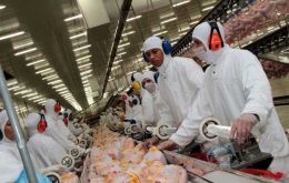 Although the 28-day window with no new detections in commercial farms  has been met, many countries remain reluctant to acknowledge Brazil's avian-flu-free status