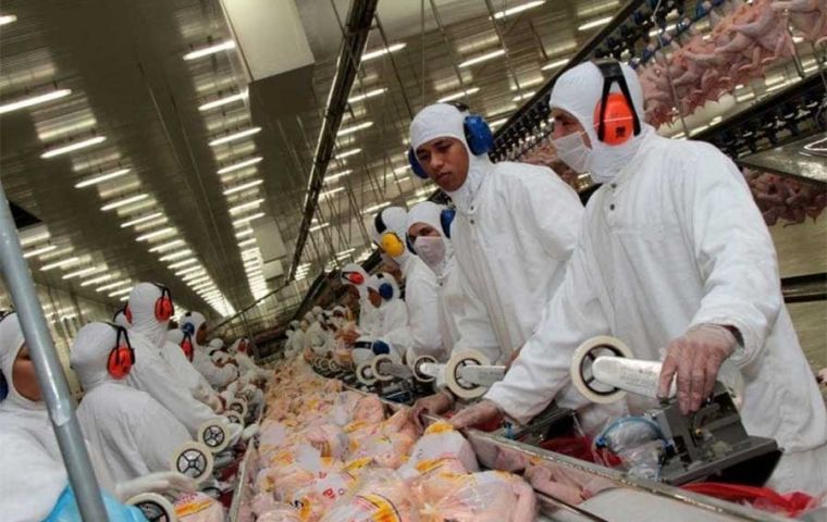 Although the 28-day window with no new detections in commercial farms  has been met, many countries remain reluctant to acknowledge Brazil's avian-flu-free status