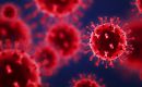 Flu vaccination coverage in Goiás is currently 38.96%