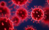 Flu vaccination coverage in Goiás is currently 38.96%