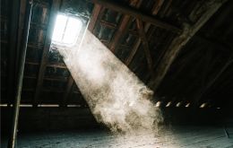 Professional attic cleaning services are designed to tackle a range of issues that can affect your home's energy efficiency