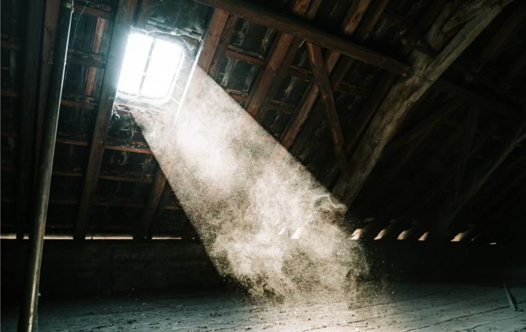 Professional attic cleaning services are designed to tackle a range of issues that can affect your home's energy efficiency