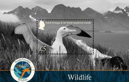 In the last 250 years, attitudes towards wildlife have changed fundamentally