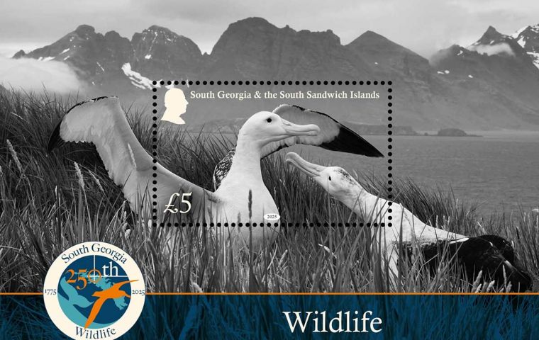 In the last 250 years, attitudes towards wildlife have changed fundamentally