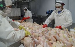 Brazil reportedly stopped exporting about 123,000 tons of chicken due to the avian flu detection