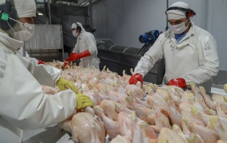 Brazil reportedly stopped exporting about 123,000 tons of chicken due to the avian flu detection
