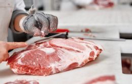 The Meat Price Index increased by 2.1% in June, reaching a new all-time high. World prices of bovine, pig and ovine meats all rose, while poultry meat prices are falling.
