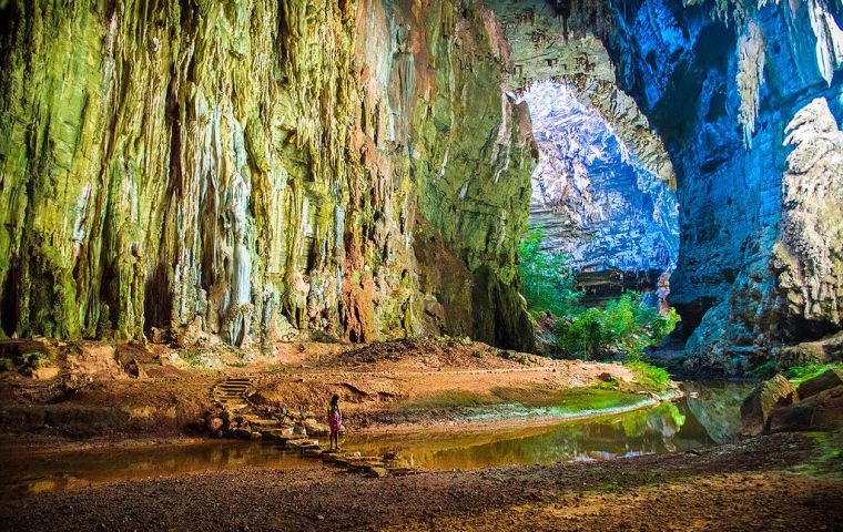Despite its value, the park only received 14,600 visitors in 2024