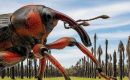 Rhynchophorus ferrugineus stems from Asia and has not been found anywhere else in South America