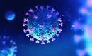 The Stratus (or Frankenstein) variant is believed to account for 36% of recent infections
